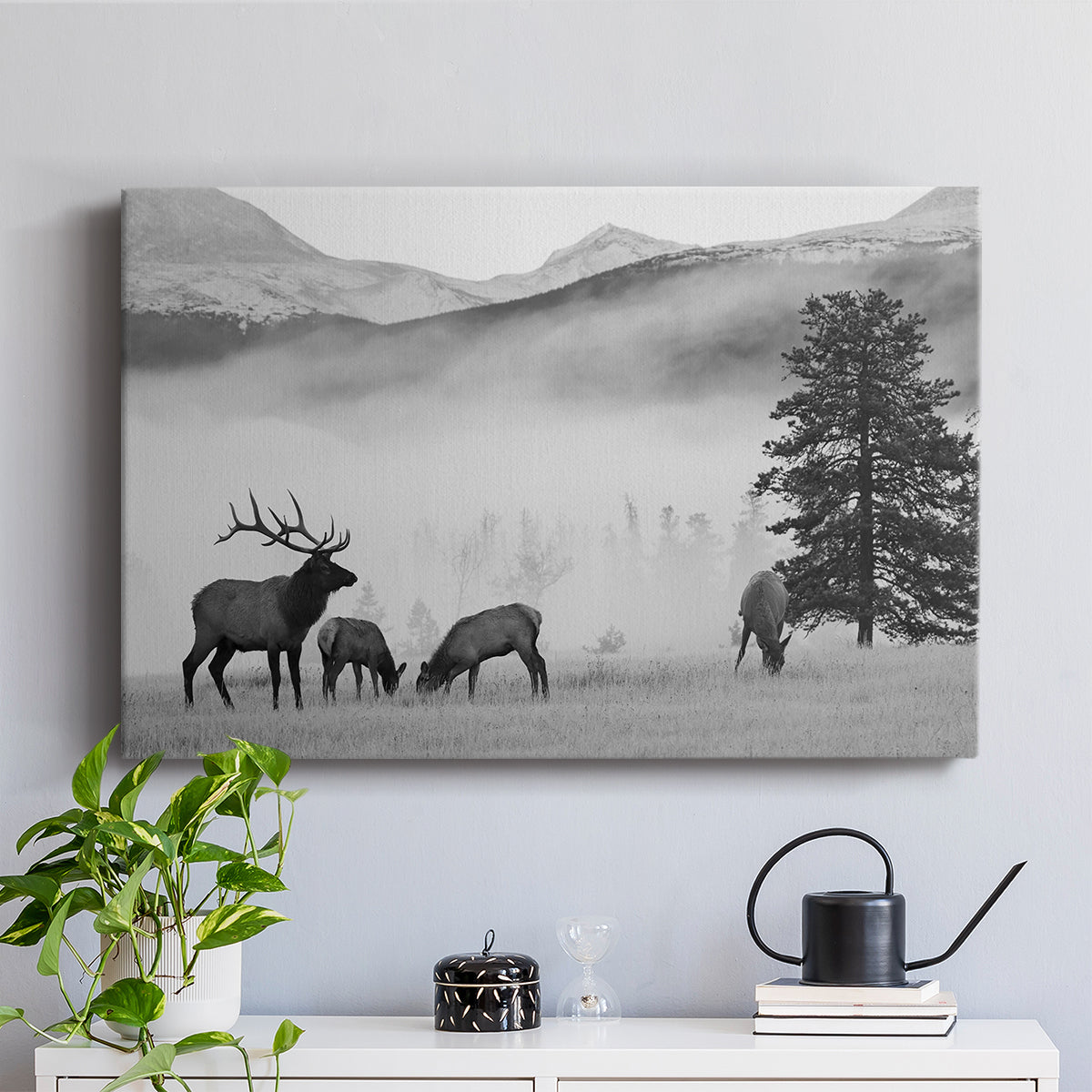 Mountain Elk - Canvas Art Print
