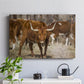 Longhorns - Canvas Art Print
