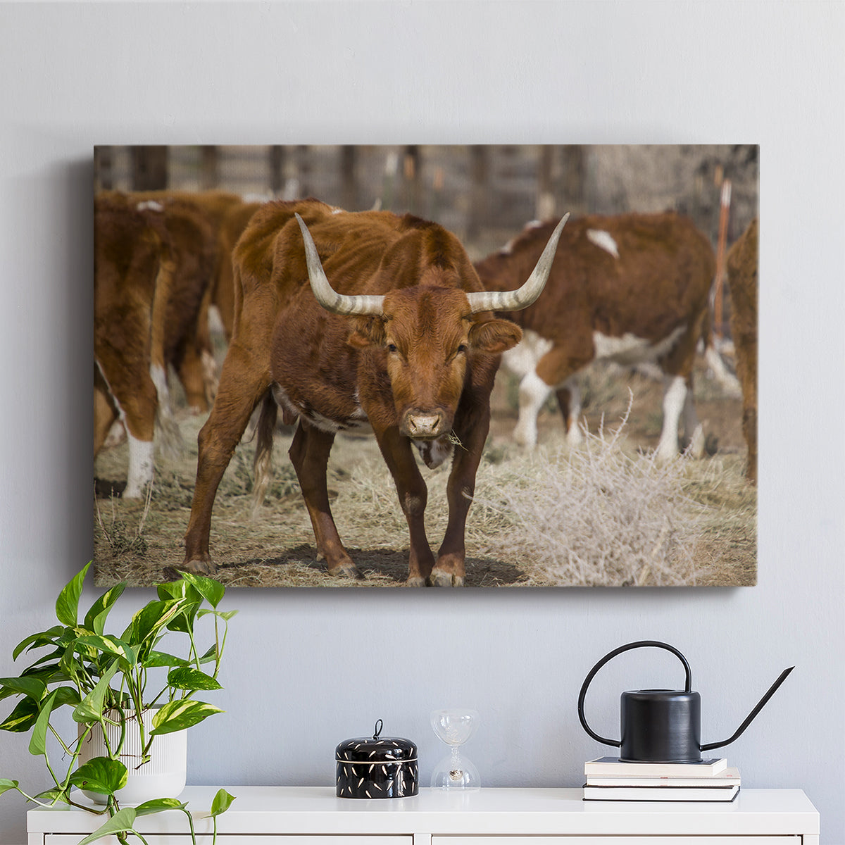 Longhorns - Canvas Art Print