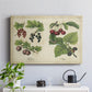 Berries and Currants - Canvas Art Print