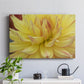 Blooms I - Canvas Art Print