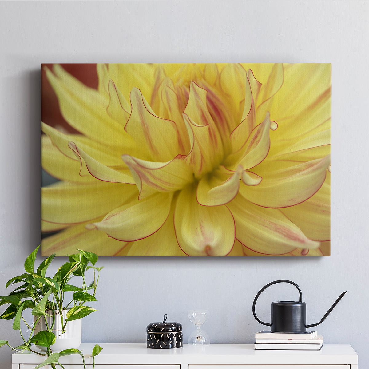 Blooms I - Canvas Art Print