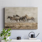 Roaming Free - Canvas Art Print
