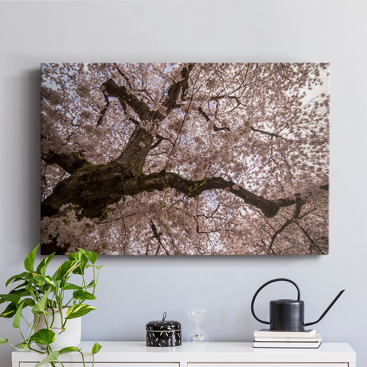 Spring's Arrival - Canvas Art Print