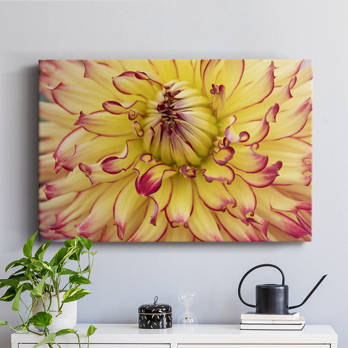 Blooms II - Canvas Art Print