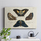 Crackled Butterflies IV - Canvas Art Print