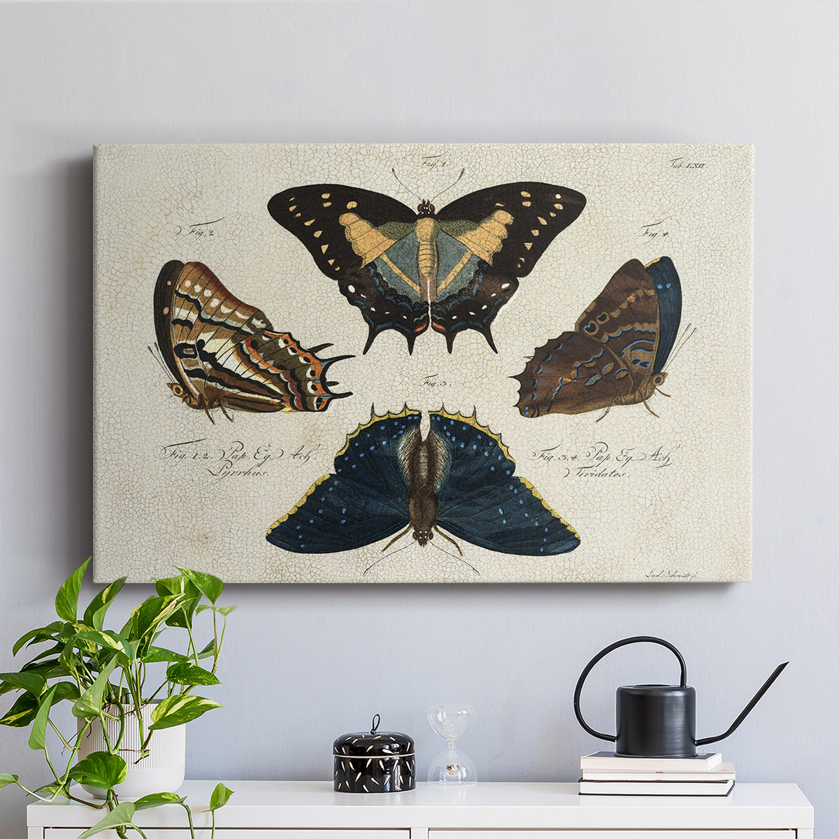 Crackled Butterflies IV - Canvas Art Print