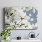 Unfolding Beauty - Canvas Art Print