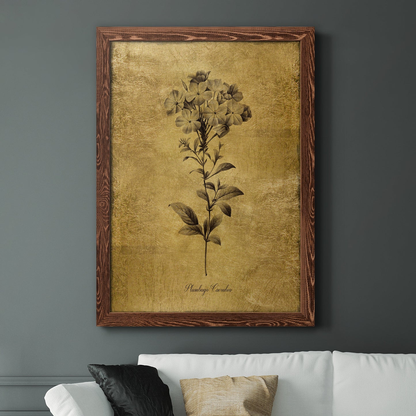 Gold Sketch Botanical II - Premium Canvas Framed in Barnwood - Ready to Hang