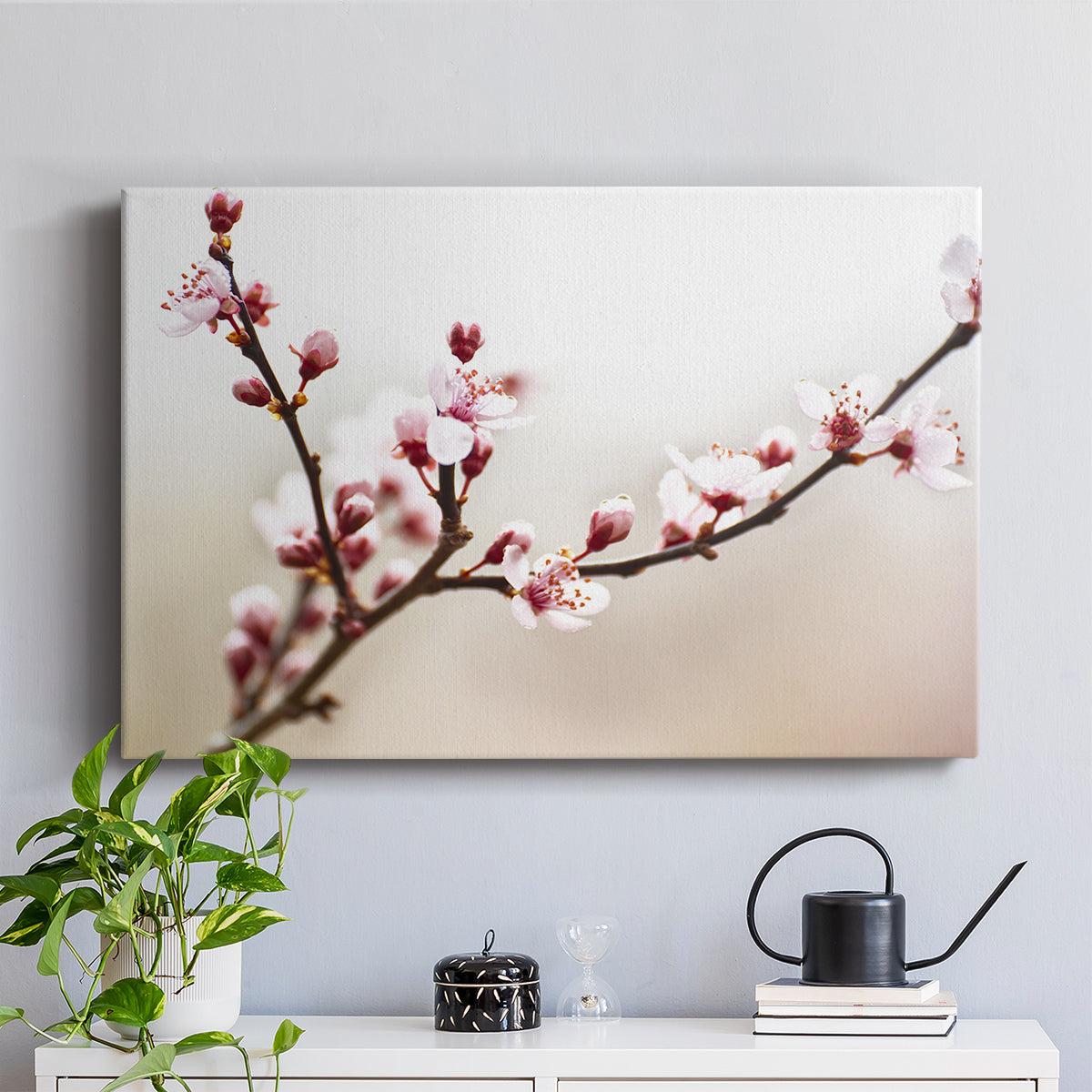 Cherry Blossom Study I - Canvas Art Print
