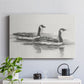 Geese Study I - Canvas Art Print