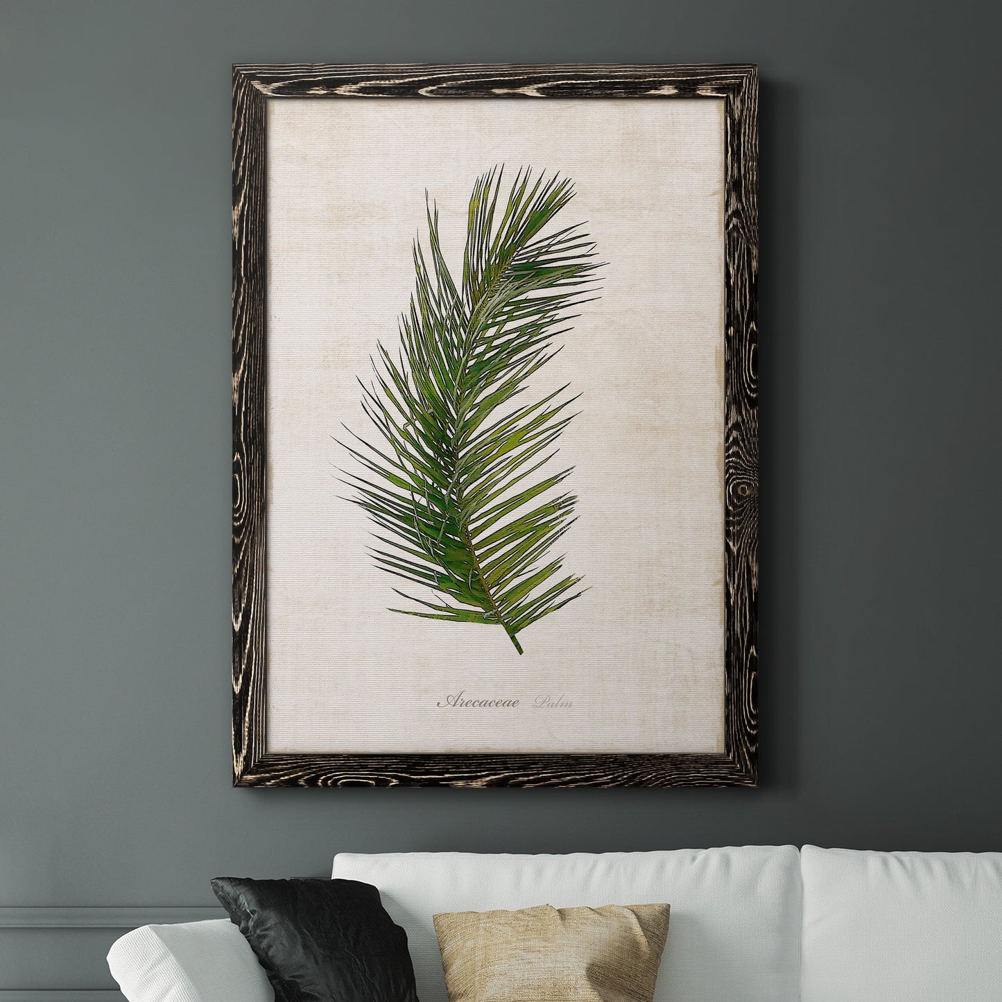 Palm Botanical II - Premium Canvas Framed in Barnwood - Ready to Hang