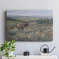 Western Wildlife I - Canvas Art Print