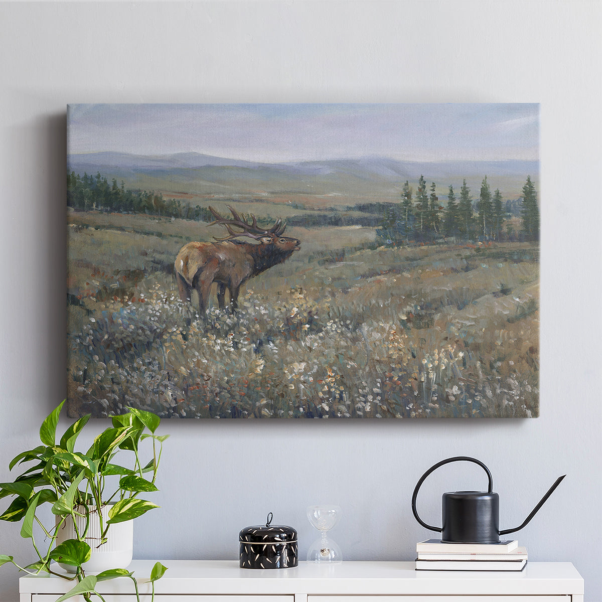 Western Wildlife I - Canvas Art Print