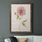 Soft Peony - Premium Canvas Framed in Barnwood - Ready to Hang