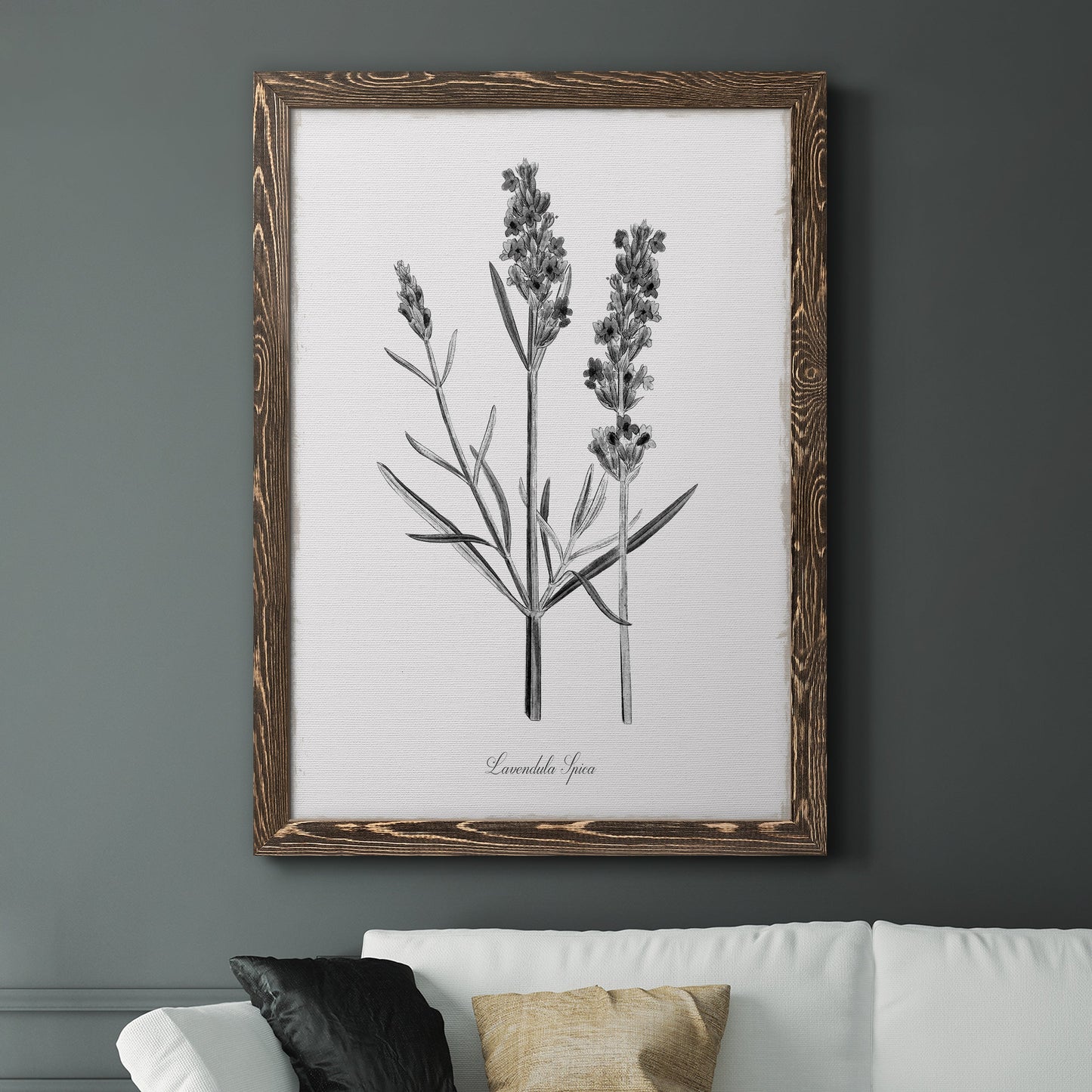 Simply Lavender - Premium Canvas Framed in Barnwood - Ready to Hang