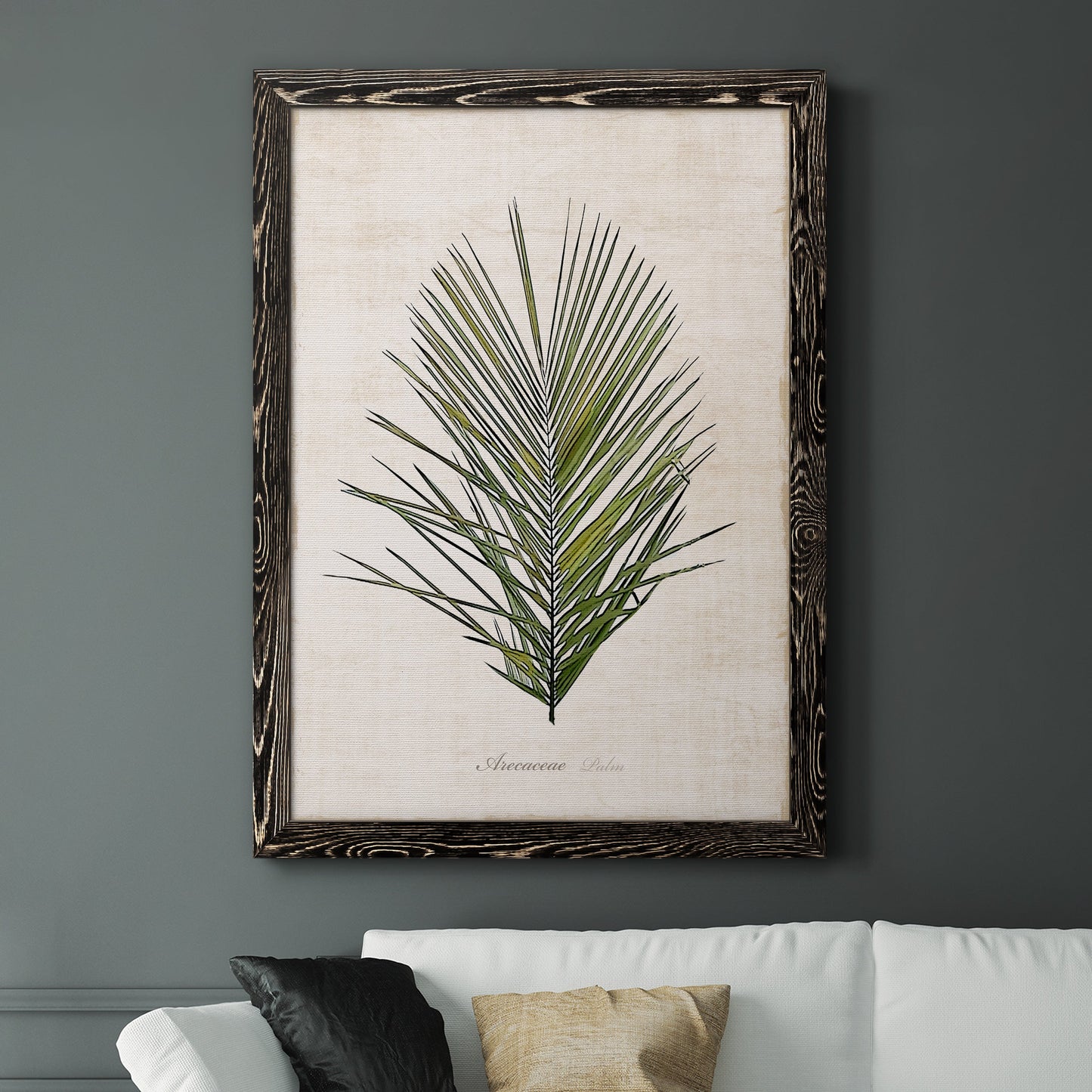 Palm Botanical I - Premium Canvas Framed in Barnwood - Ready to Hang