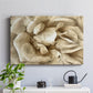 Neutral Wall Flower II - Canvas Art Print