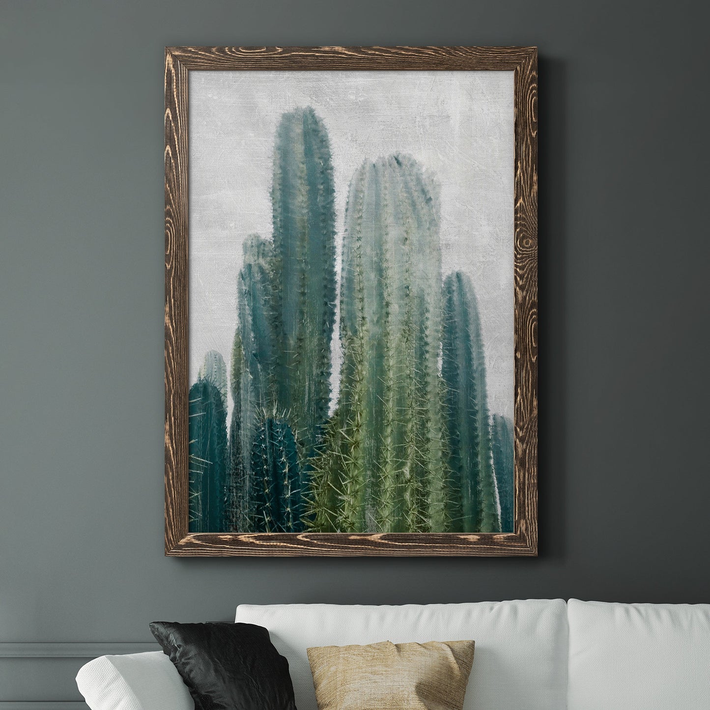 Aruba Cacti II - Barnwood Framed Canvas Print