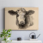 Charcoal Cow I - Canvas Art Print