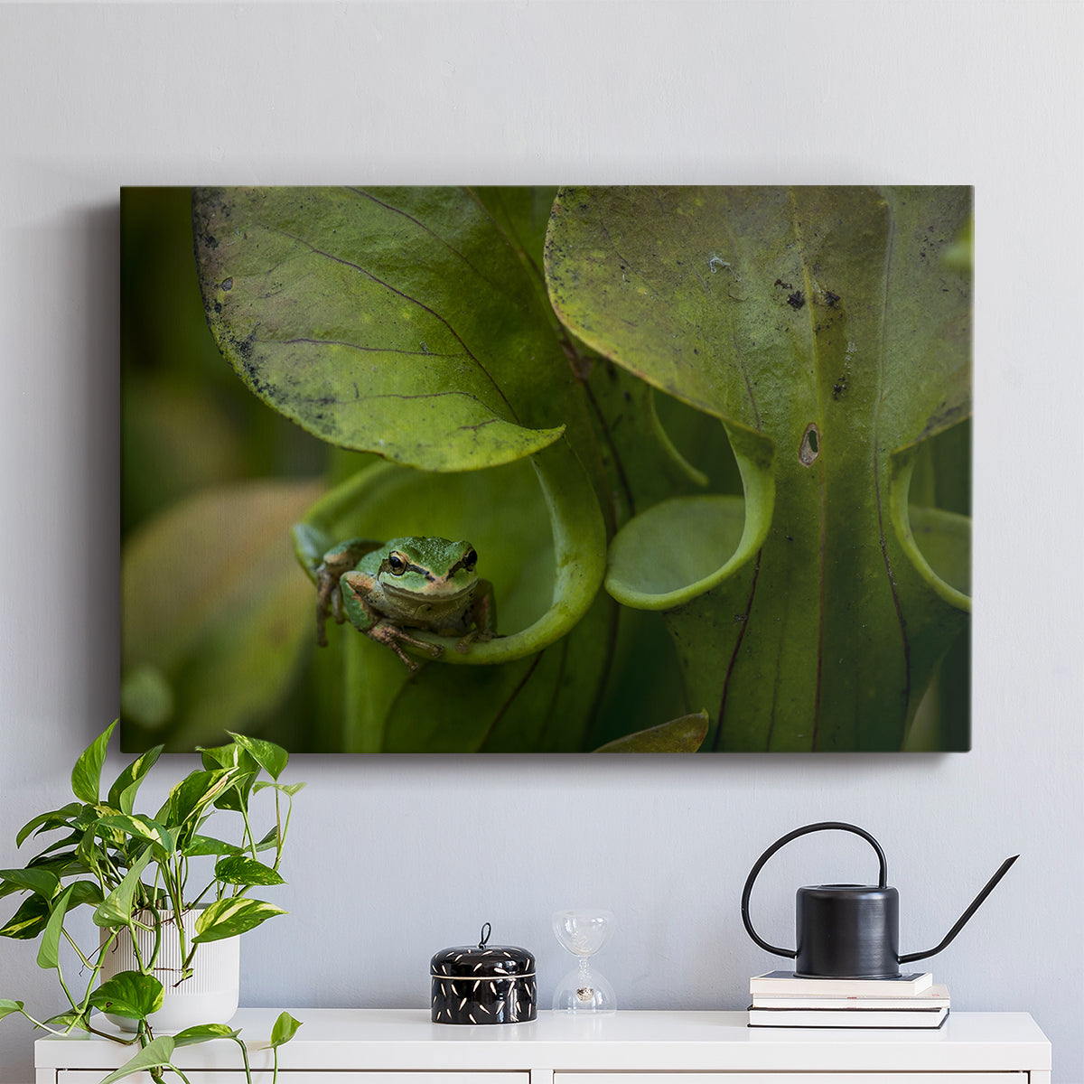 Arboreal Refuge - Canvas Art Print