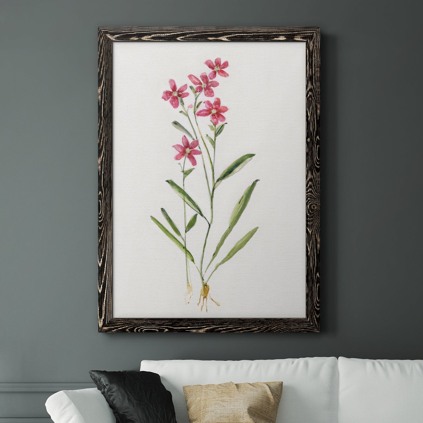 Delicate Pink II - Premium Canvas Framed in Barnwood - Ready to Hang