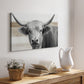 Steer XCI - Canvas Art Print