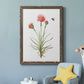 Wildflower Botanical III - Barnwood Framed Canvas Print