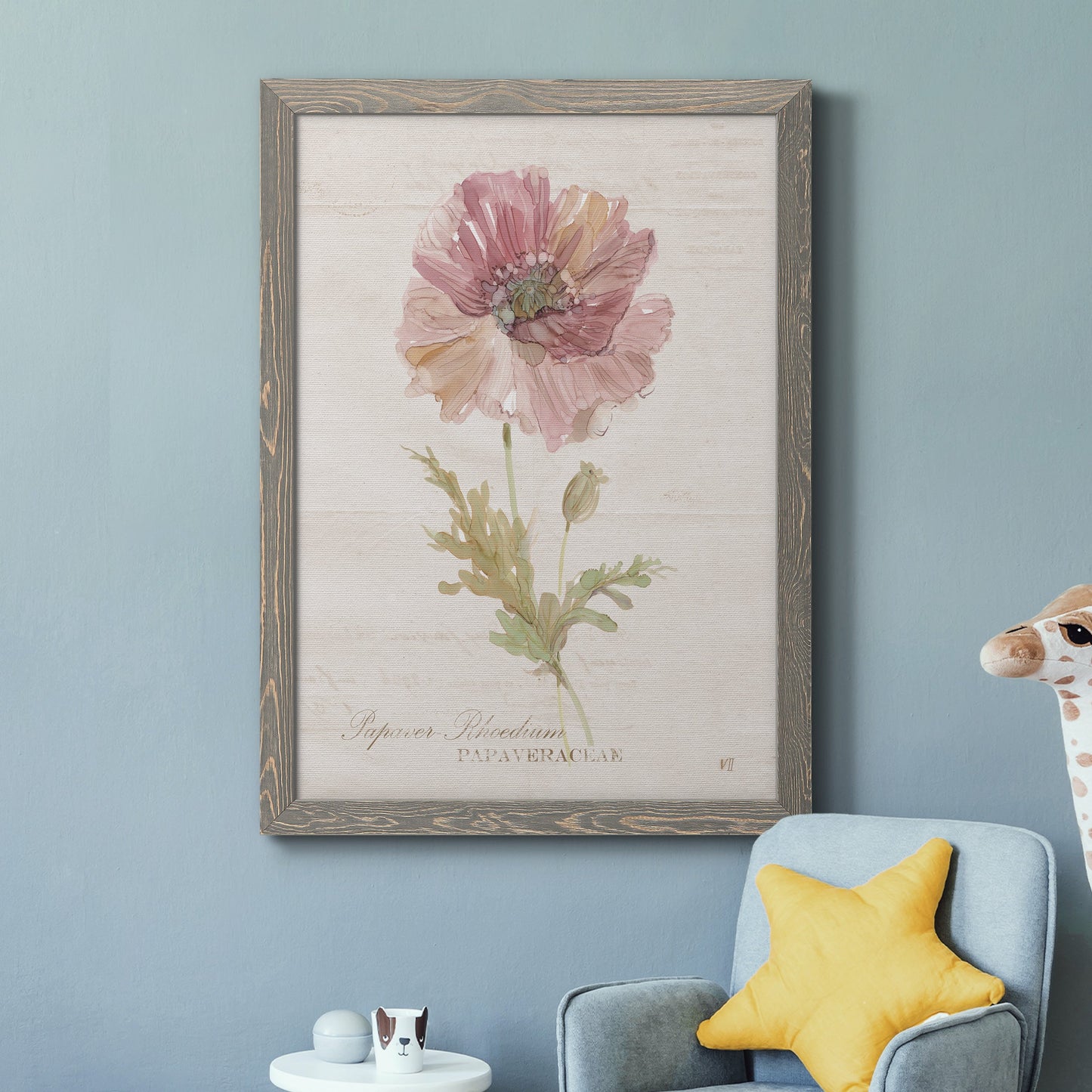 Soft Poppy - Premium Canvas Framed in Barnwood - Ready to Hang