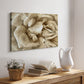 Neutral Wall Flower II - Canvas Art Print