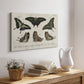 Crackled Butterflies II - Canvas Art Print