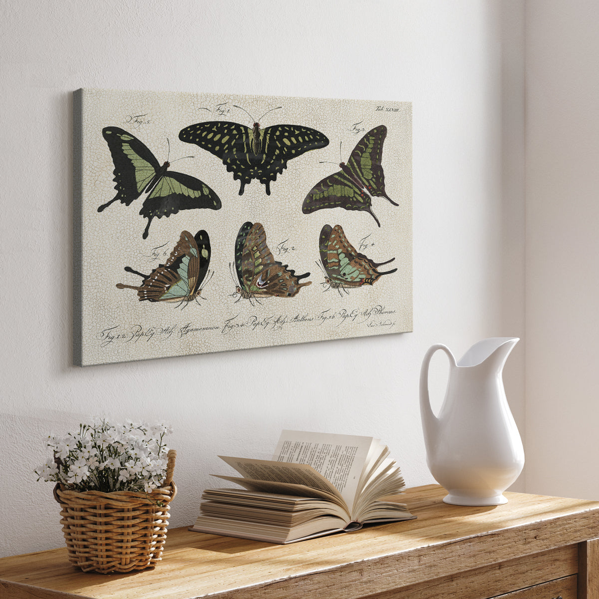 Crackled Butterflies II - Canvas Art Print