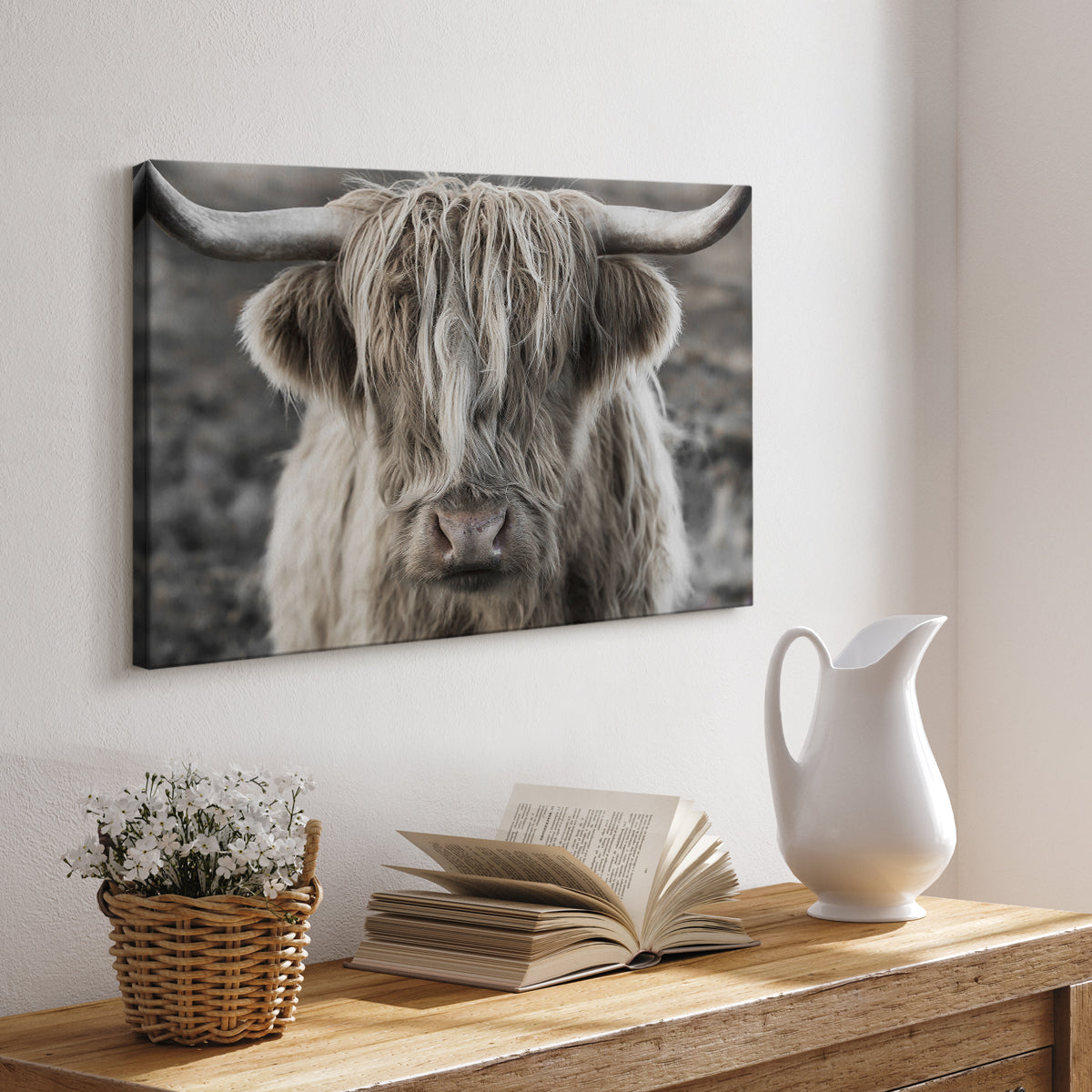 Highland cow with long hair showing expression in moody landscape during early morning light