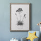 Simply Caladrinia - Premium Canvas Framed in Barnwood - Ready to Hang