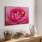 Hanging On VIII - Canvas Art Print