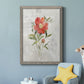 Linen Peony - Premium Canvas Framed in Barnwood - Ready to Hang