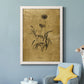 Gold Sketch Botanical I - Premium Canvas Framed in Barnwood - Ready to Hang