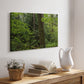Calm of the Forest - Canvas Art Print