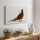 Pheasant Splash 4 - Canvas Art Print