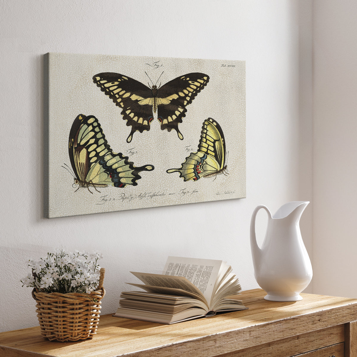 Crackled Butterflies I - Canvas Art Print