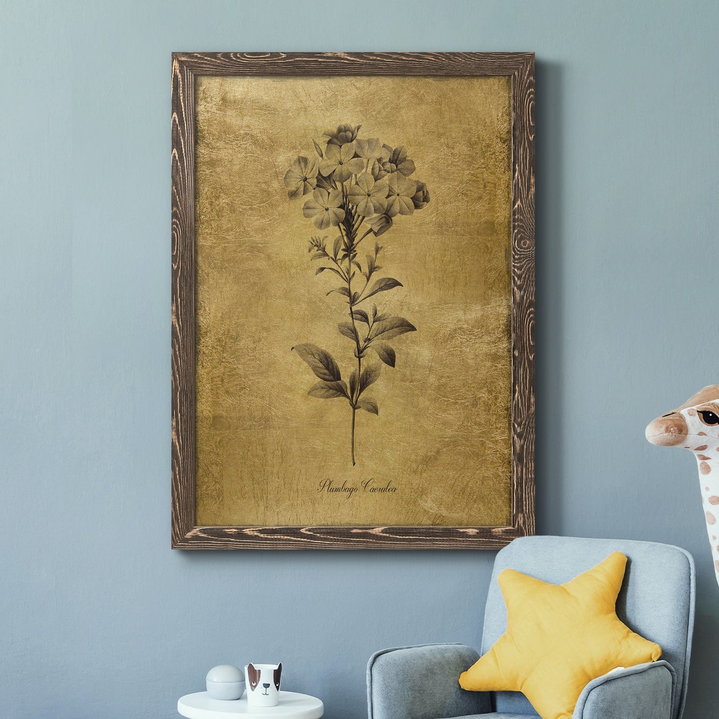 Gold Sketch Botanical II - Barnwood Framed Canvas Print