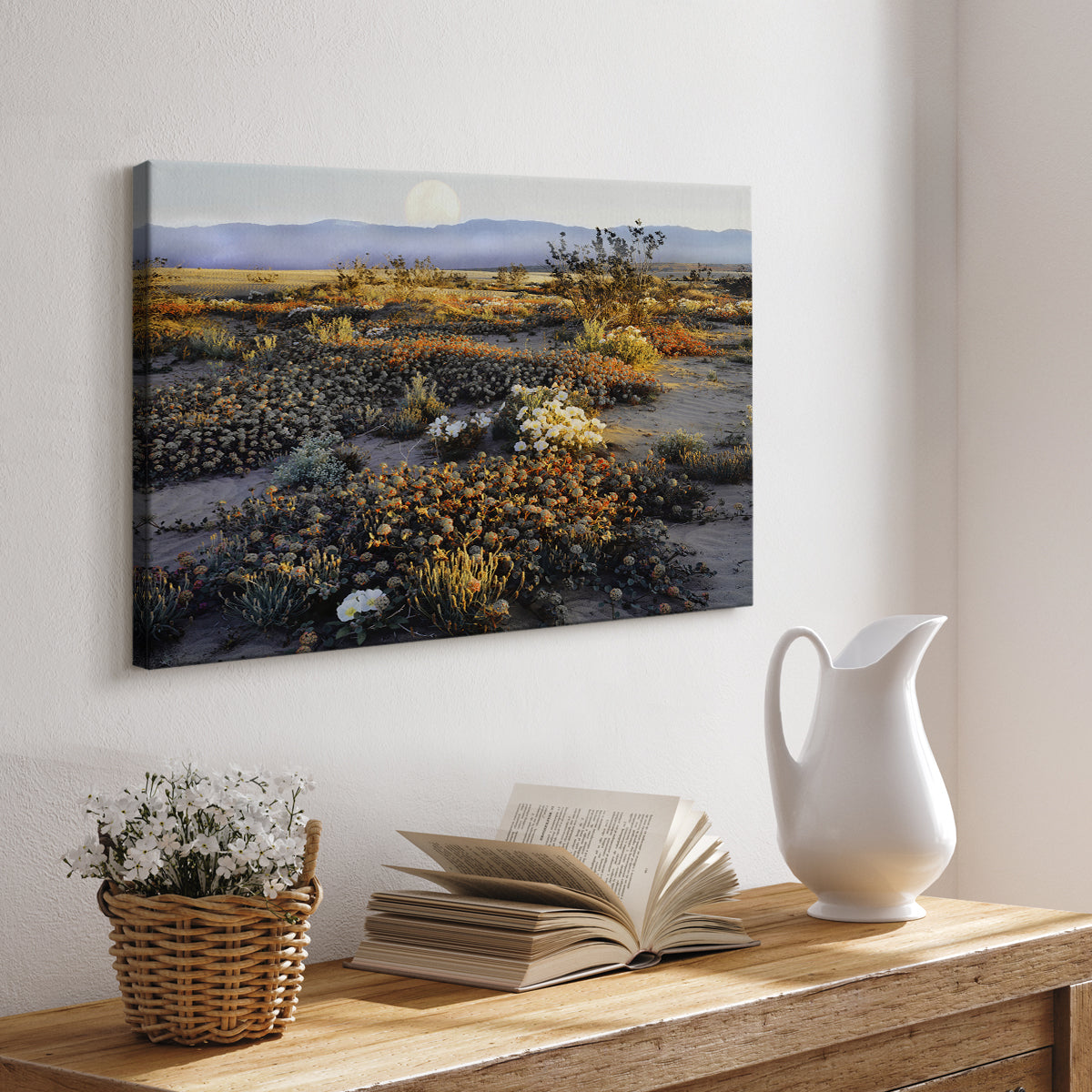 Anza Borrego Desert - Canvas Art Print