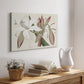 Amaryllis Varietals II - Canvas Art Print
