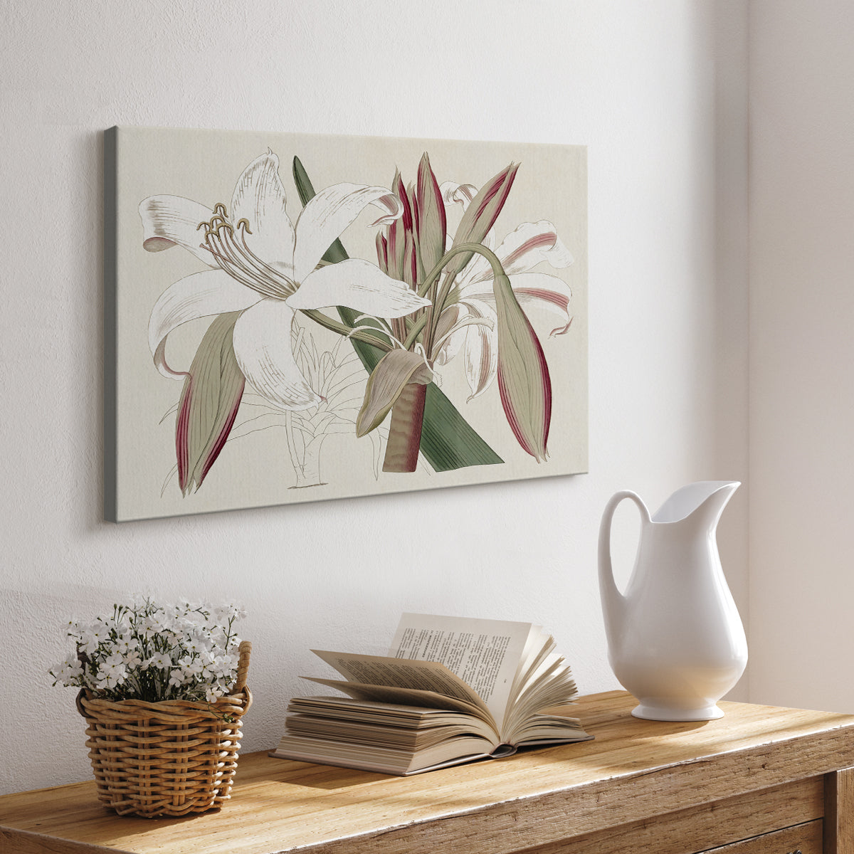 Amaryllis Varietals II - Canvas Art Print