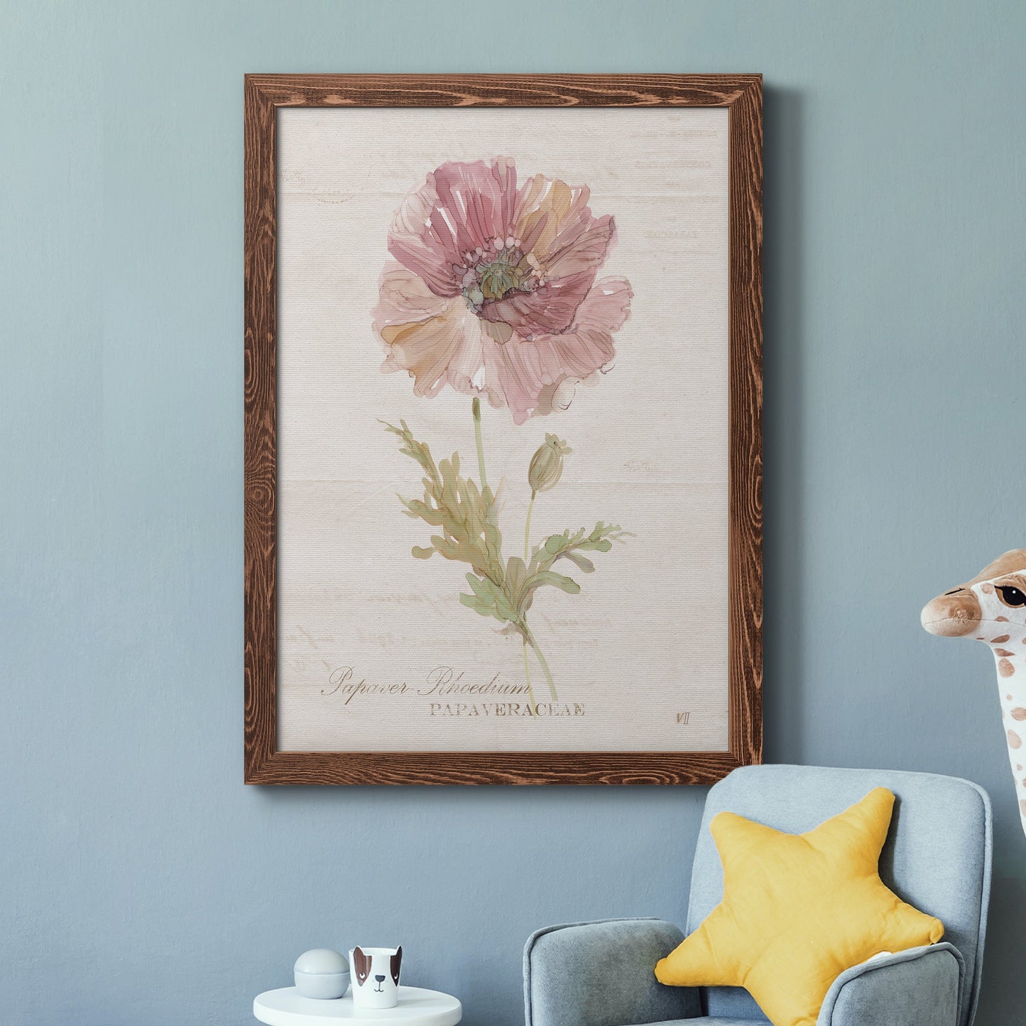 Soft Poppy - Premium Canvas Framed in Barnwood - Ready to Hang