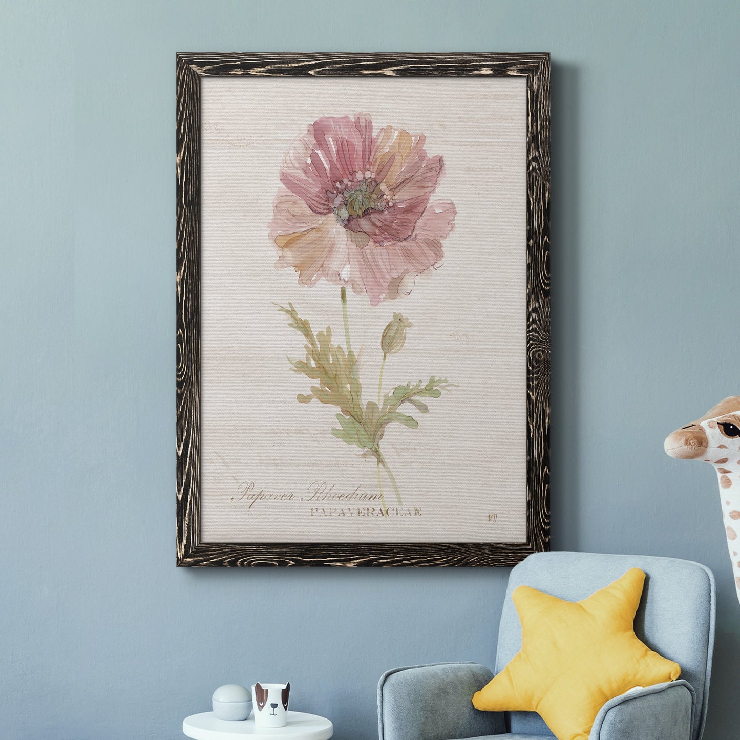 Soft Poppy - Premium Canvas Framed in Barnwood - Ready to Hang