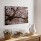 Spring's Arrival - Canvas Art Print