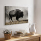 Geyser Basin - Canvas Art Print