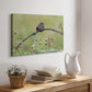 Resting Sparrow - Canvas Art Print