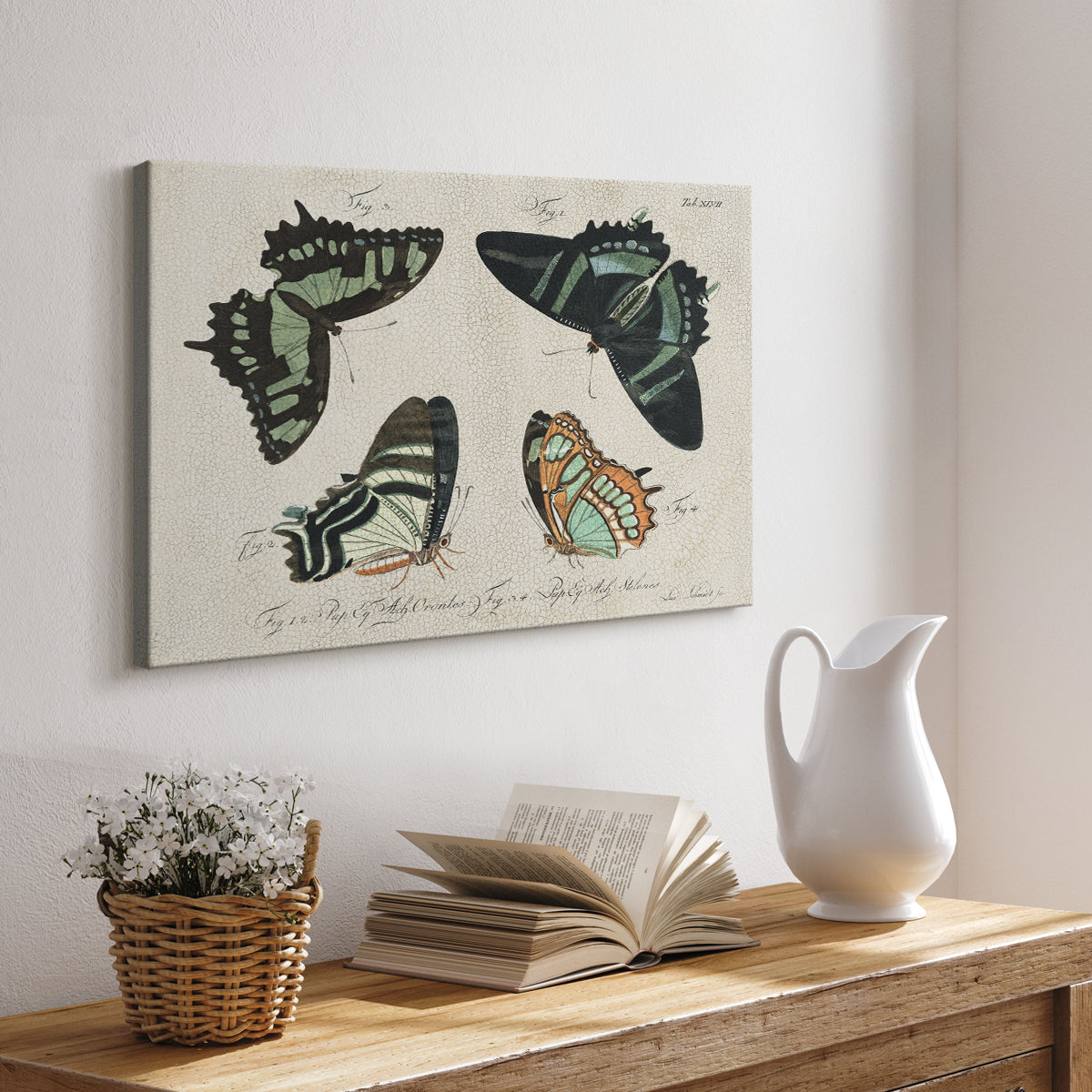 Crackled Butterflies III - Canvas Art Print